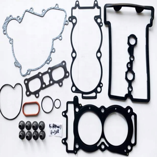 Tesnenia pre celý motor Polaris Rzr Sportsman 1000 808969