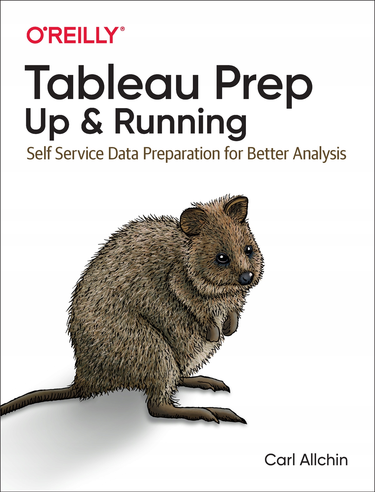 Tableau Prep: Up & Running - Allchin, Carl