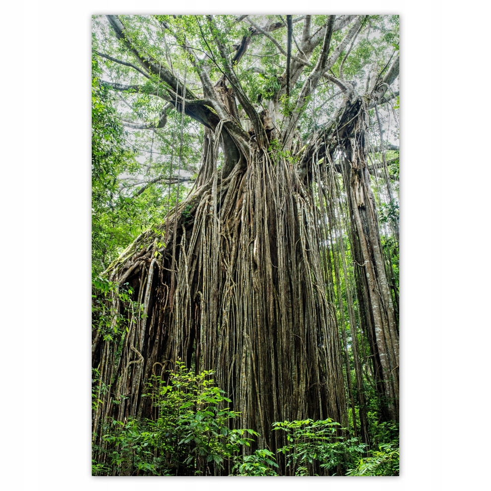 

Plakaty 62x93 Pejzaż Krajobraz Widoczek