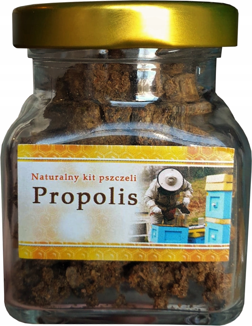 

Propolis pszczeli kit pszczeli 50g w słoiku