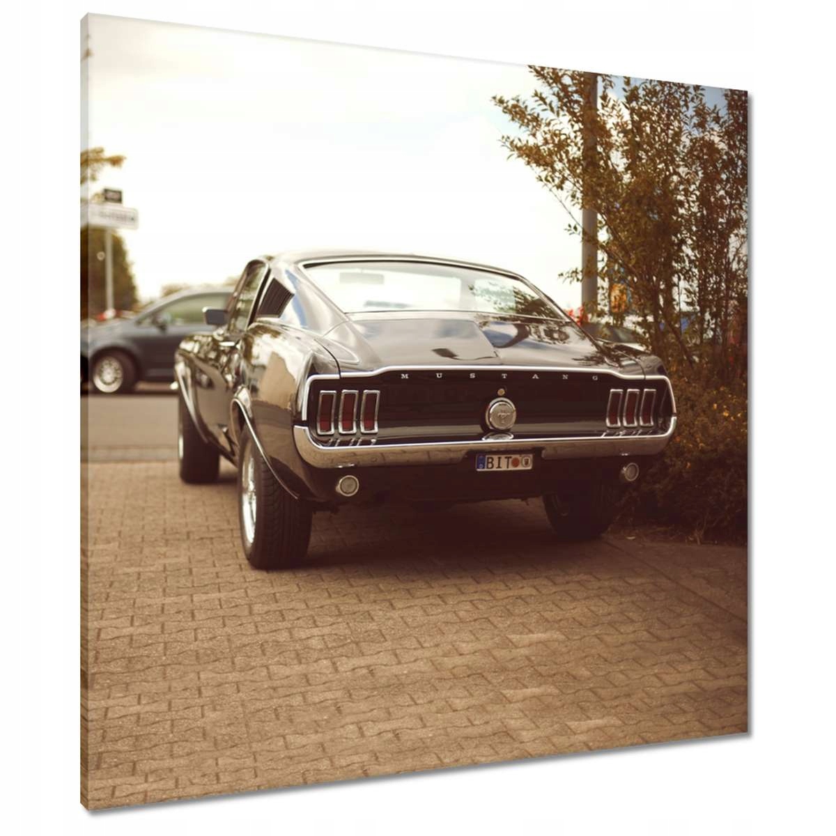 Obrazy 80x80 Ford Mustang Černo-bílý