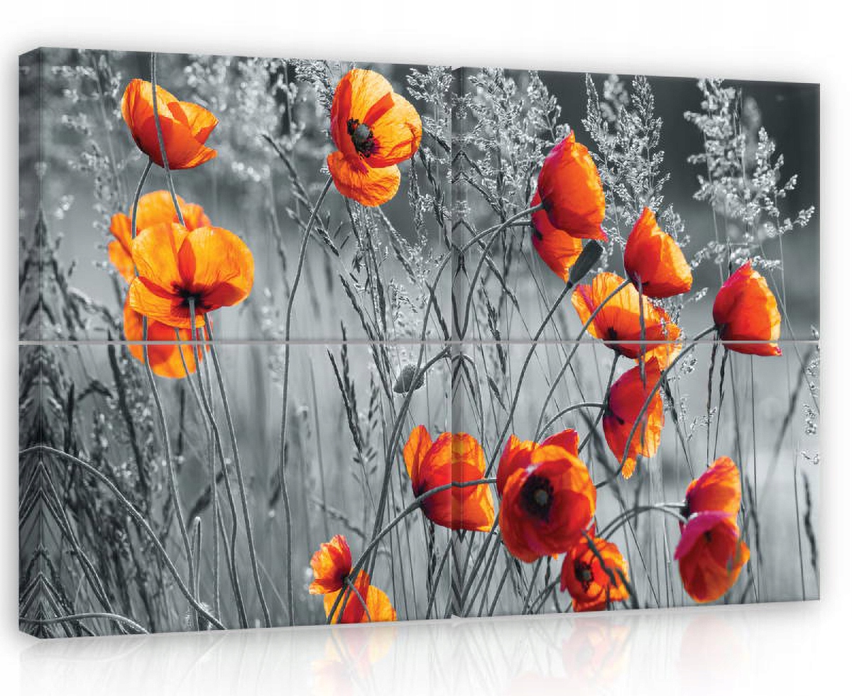 Obraz Na Plátne Canvas 120x80 Maki Kvety Lúka Pohľad Príroda Príroda