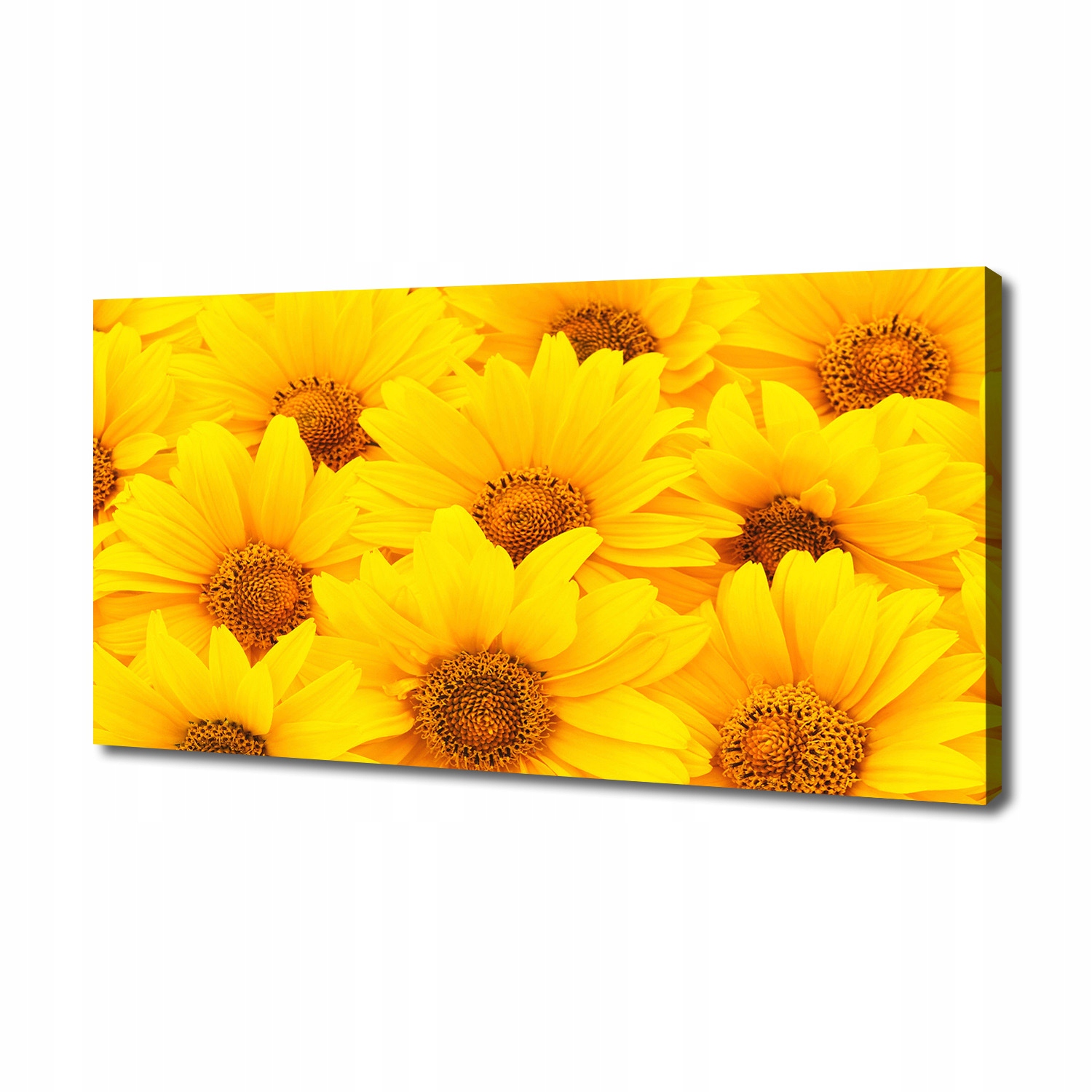 

Foto obraz canvas na ścianę Słoneczniki 140x70 cm