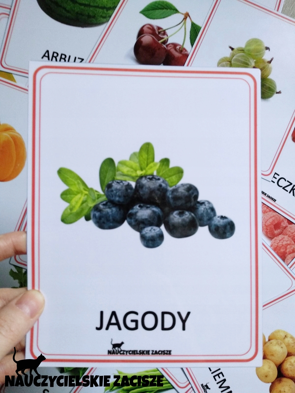 Owoce i warzywa 40 ilustracji Plansze edukacyjne Klasa 1 2 3