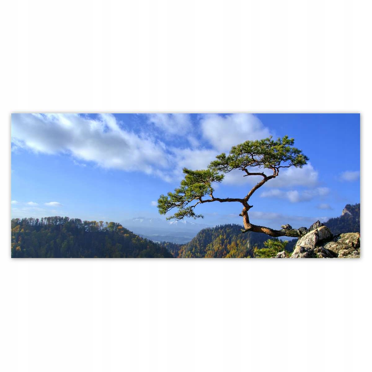 Fototapety 250x104 Krajina Pohledy Krajina