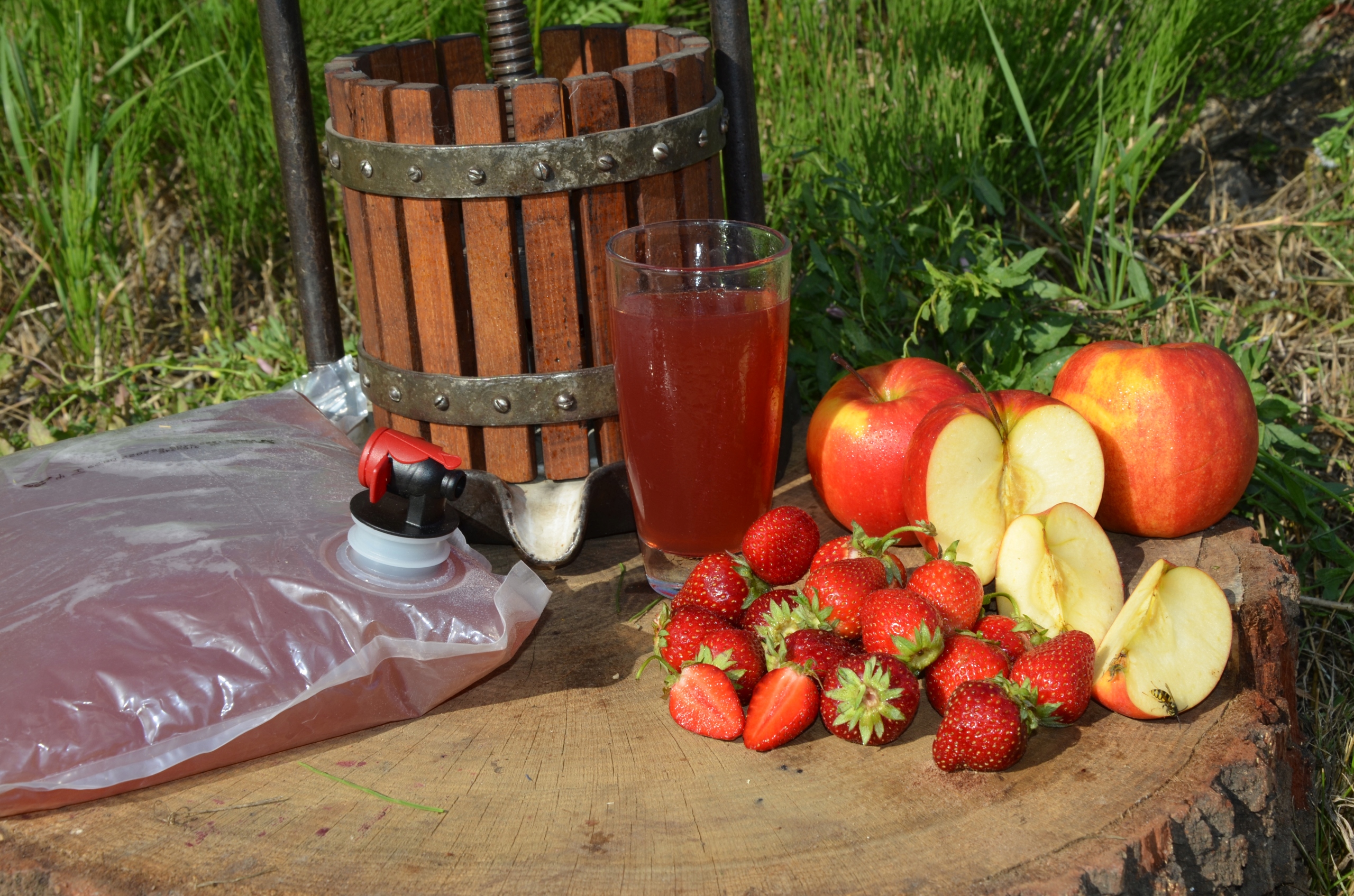 Sok jabłkowy z truskawką tłoczony NFC 3L+KARTON Kod producenta GWIAZDA