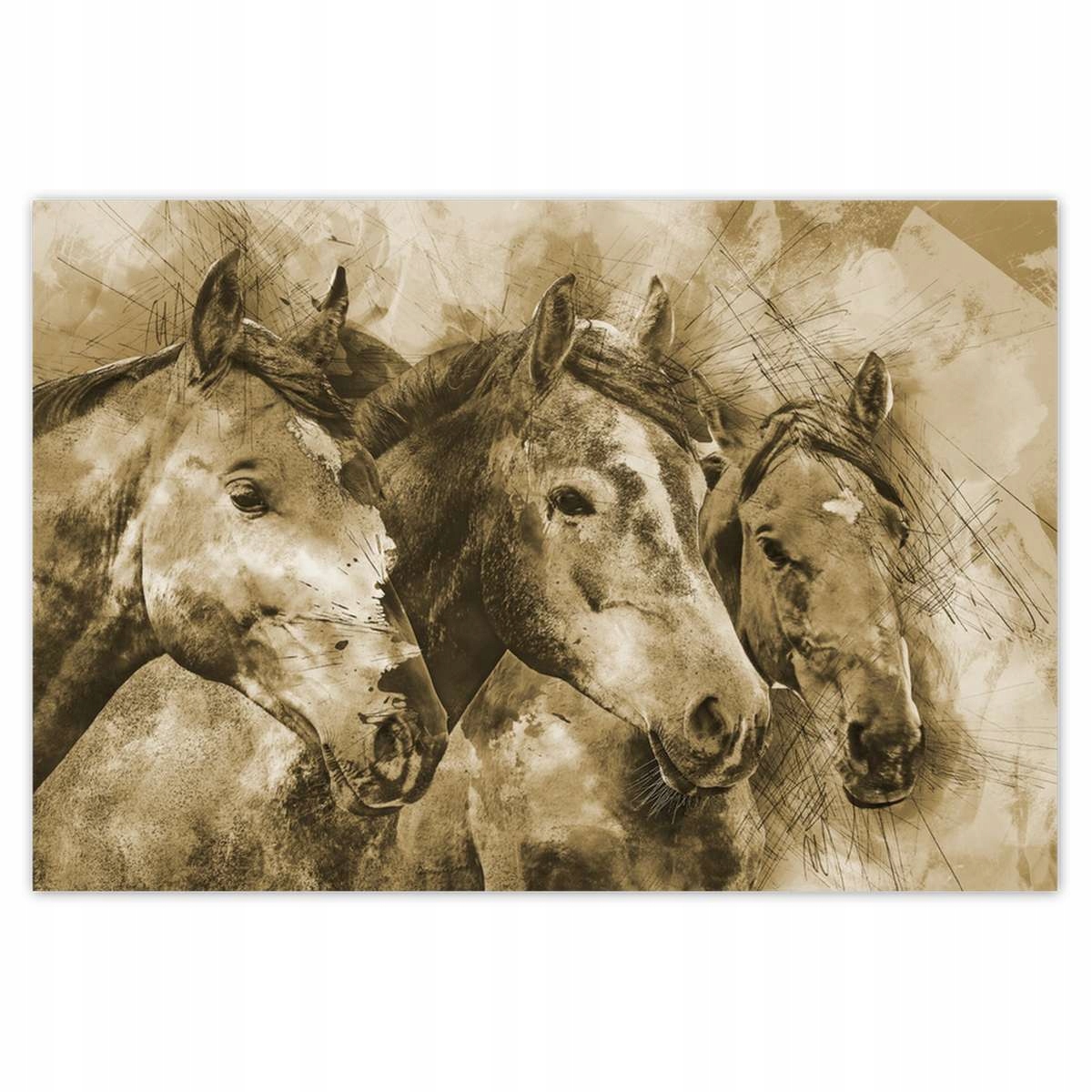 Plakáty 185x125 Hlavy koní