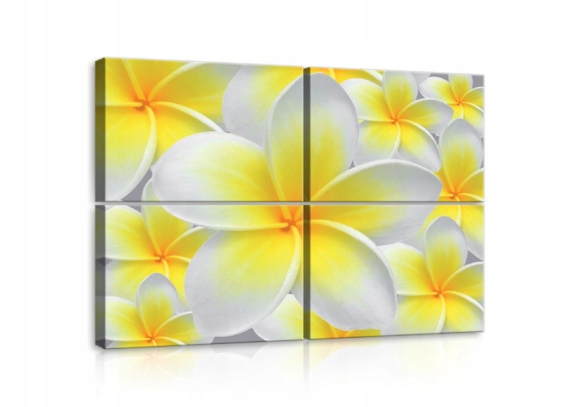 Obraz 120x80 Tropické kvety plumeria žlté biele leto slnko príroda
