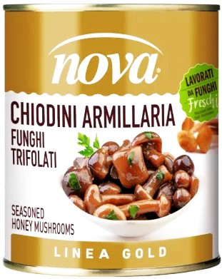 Levně Medové Opěrky V Oleji 850ml Nova Funghi S.vel. L.
