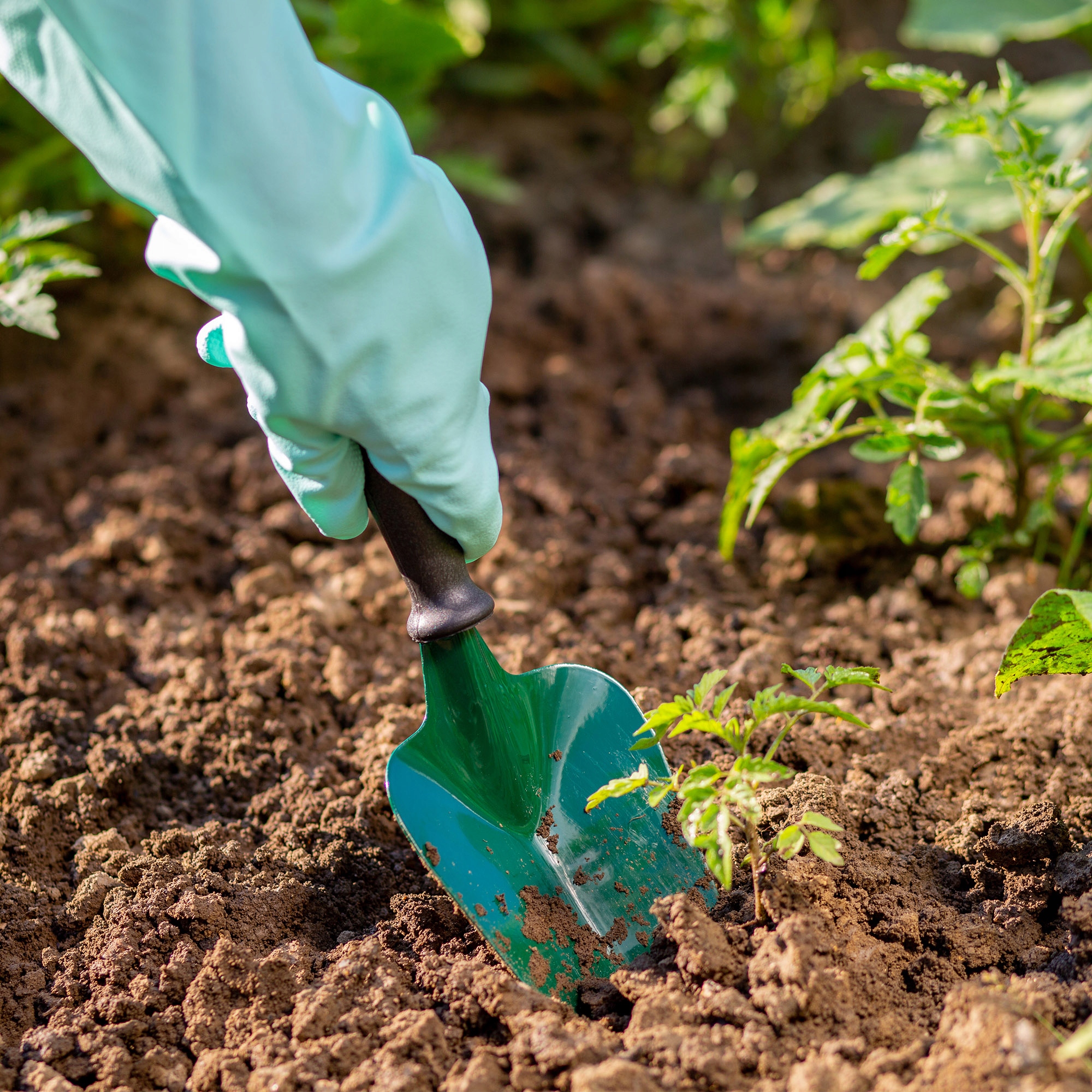 ŁOPATKA OGRODNICZA OGRODOWA DO SADZENIA STAL 31cm EAN (GTIN) 5902730385738