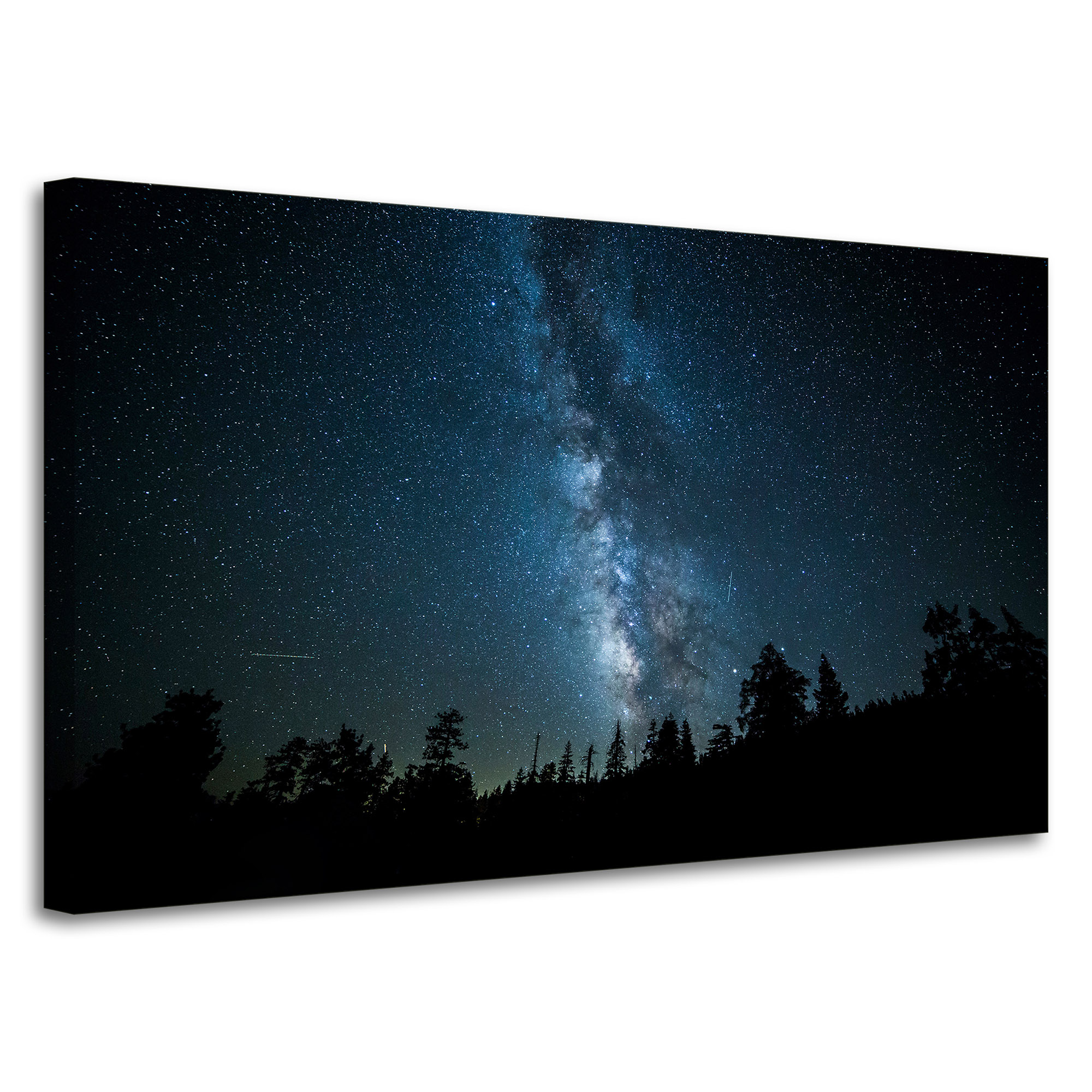 Obraz na plátně Vesmír Noc Les Mlhovina Příroda Astronomie 100x60