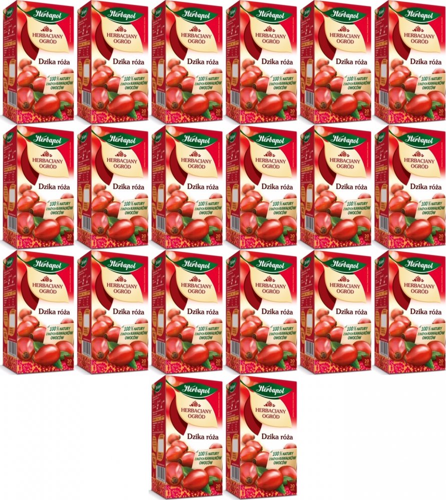 Herbaciany Ogród Dzika róża Herbapol 20 Tb x20