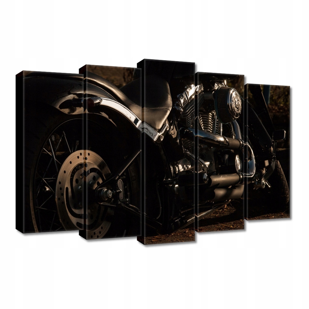 

Obrazy 70x50 Motocykl