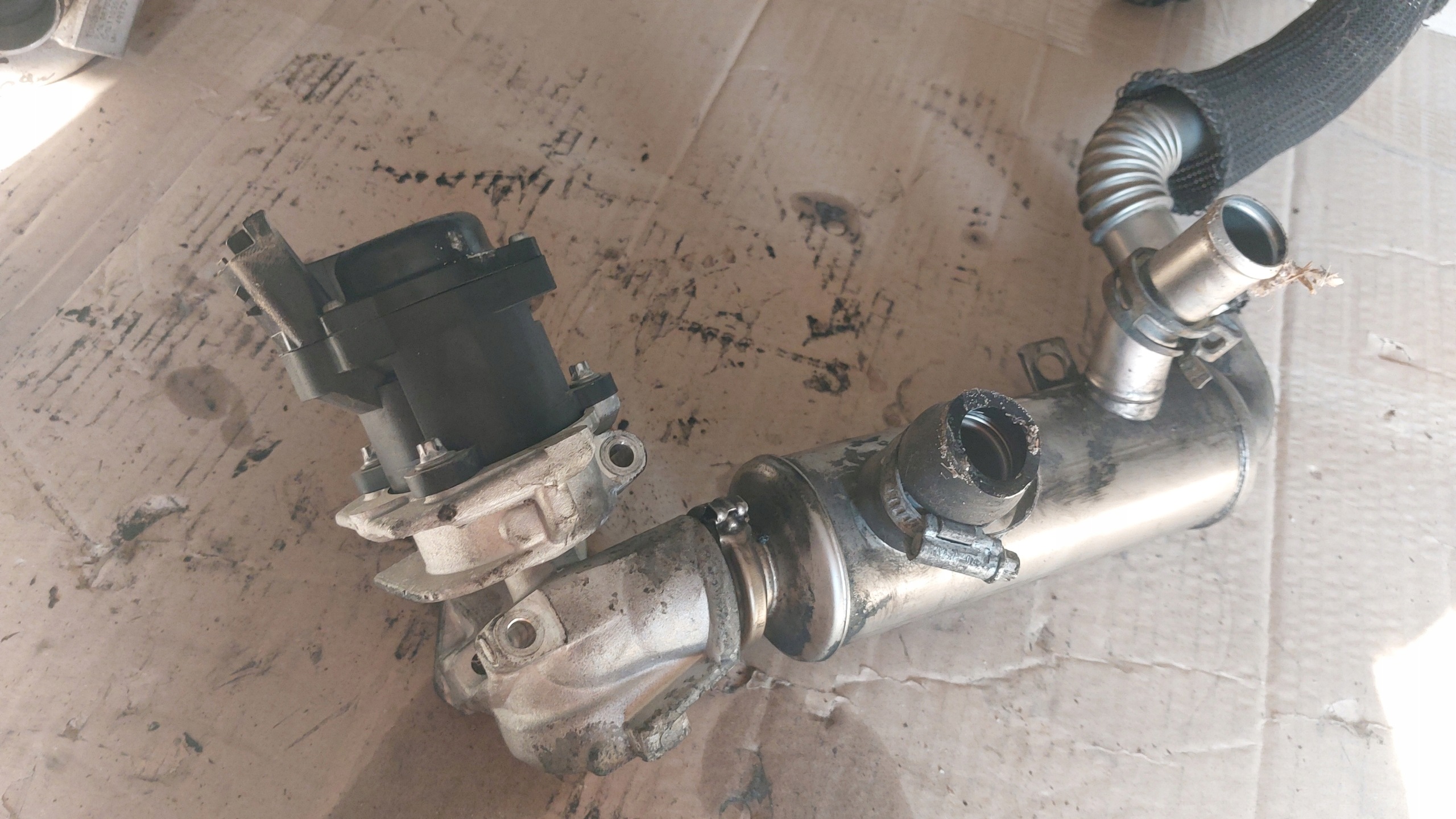 EXPERT SCUDO JUMPY 07->R. 1.6 HDI Sensor Kühler Gase EGR 9649358780