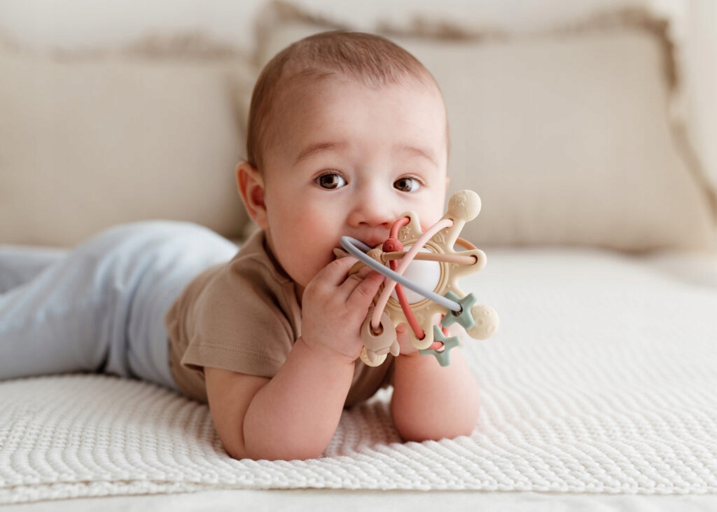 SILIKONOWA GRZECHOTKA KOSMOS GILIGUMS 45537 Marka GiliGums