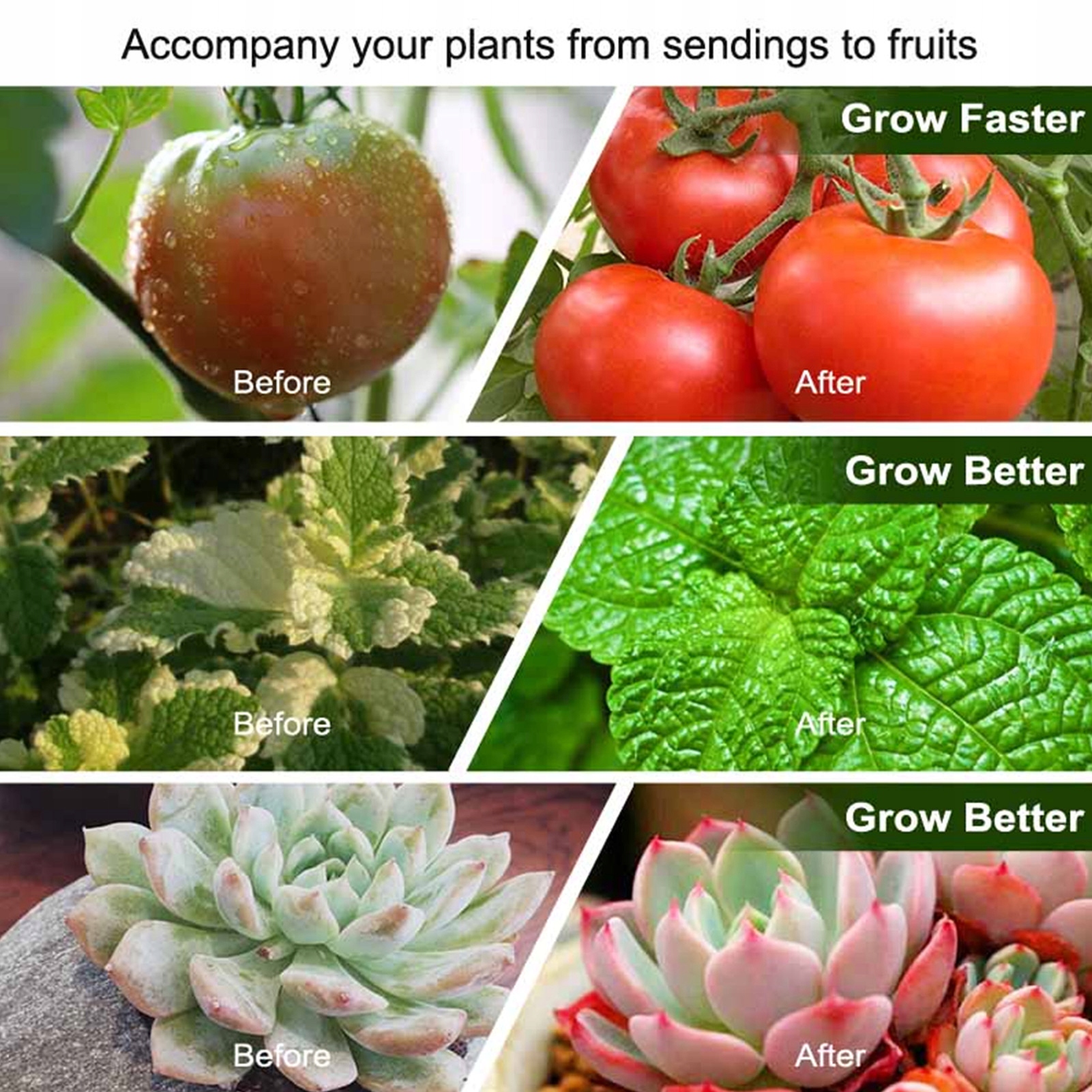 LAMPA LED COB GROW DO ROŚLIN 300W -NA RADIATORZE 1X FULL SPECTRUM Marka bez marki