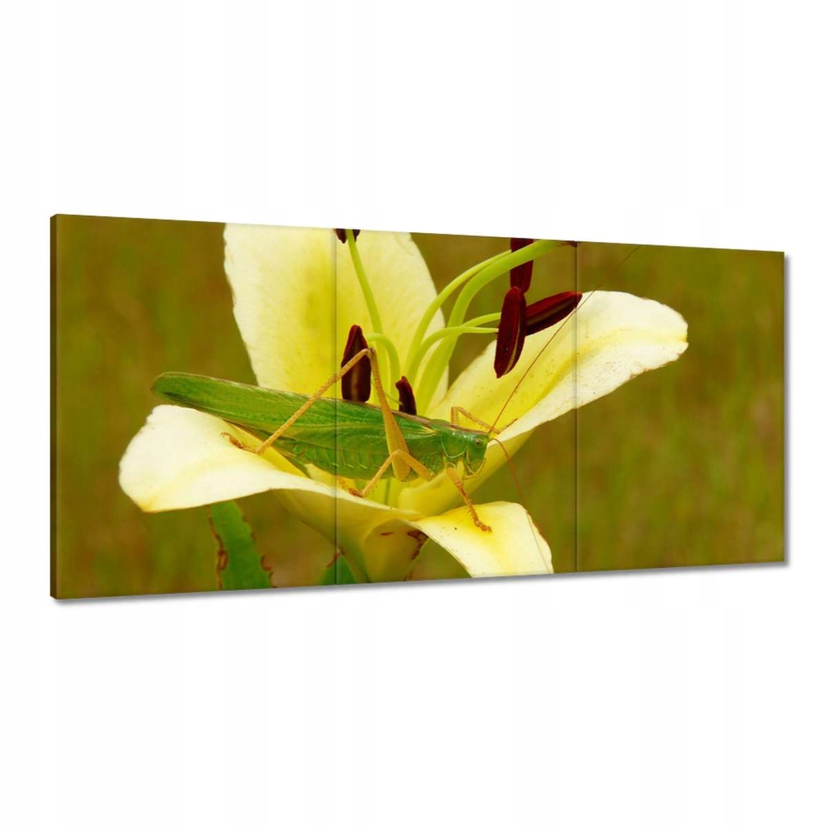 Obrazy 180x90 Zvířata Zvířátka