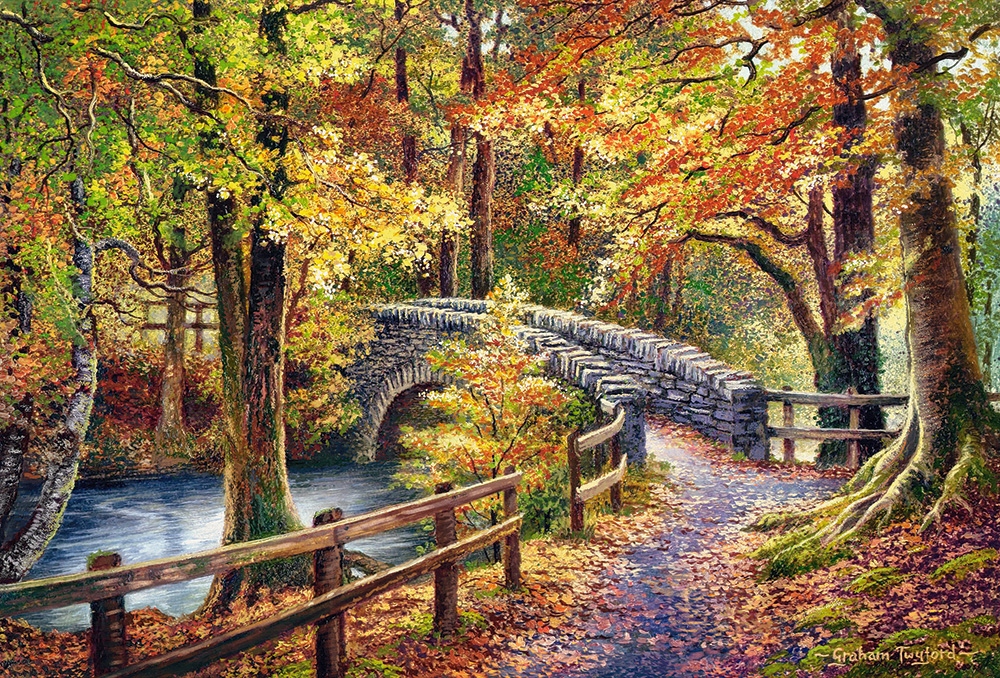 

Puzzle 1000 Widok Obraz Most Las Rzeka 9+ Castor