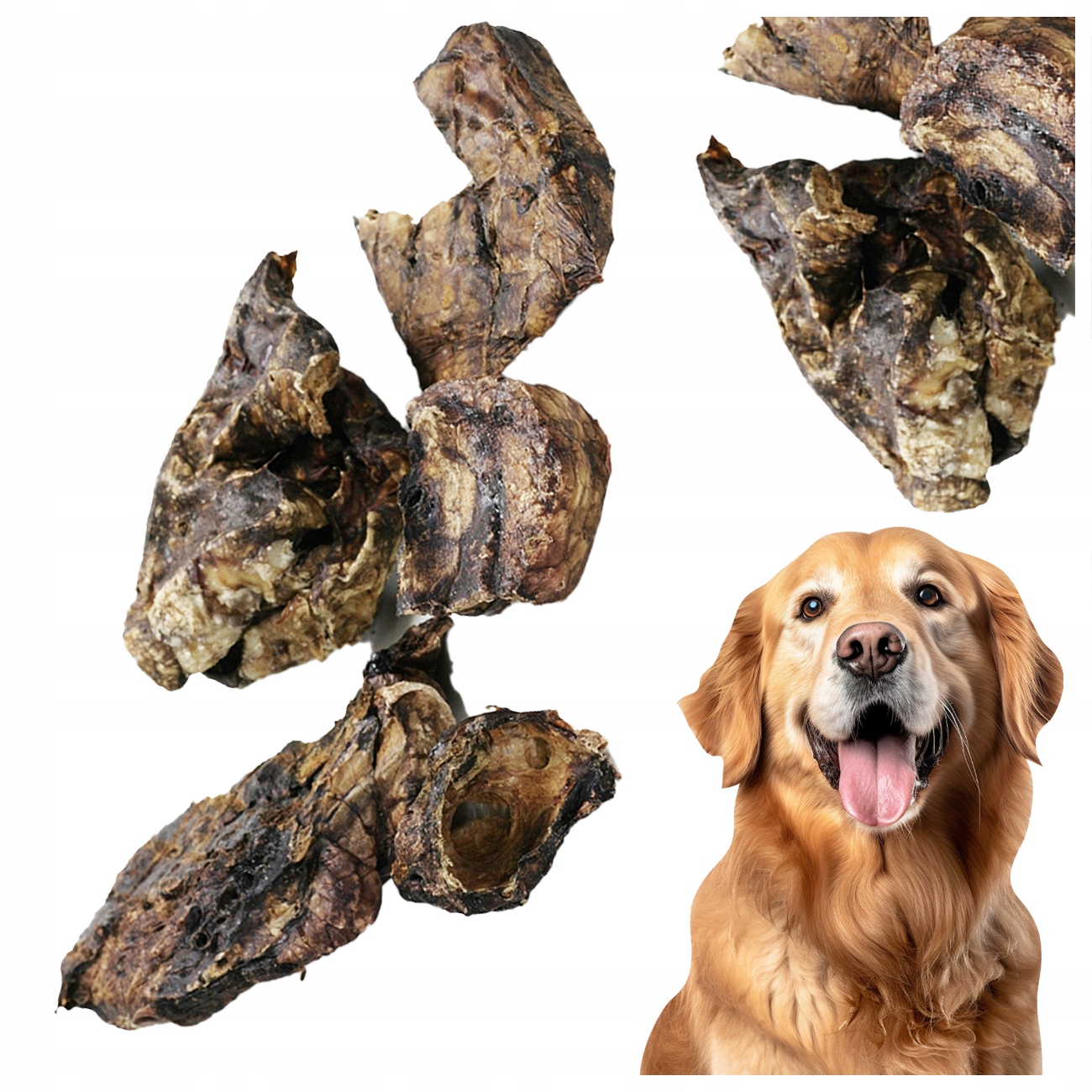 Levně Psí Pamlsek Konská Plíce 1KG Sušená Přírodní Kousek Best-dog