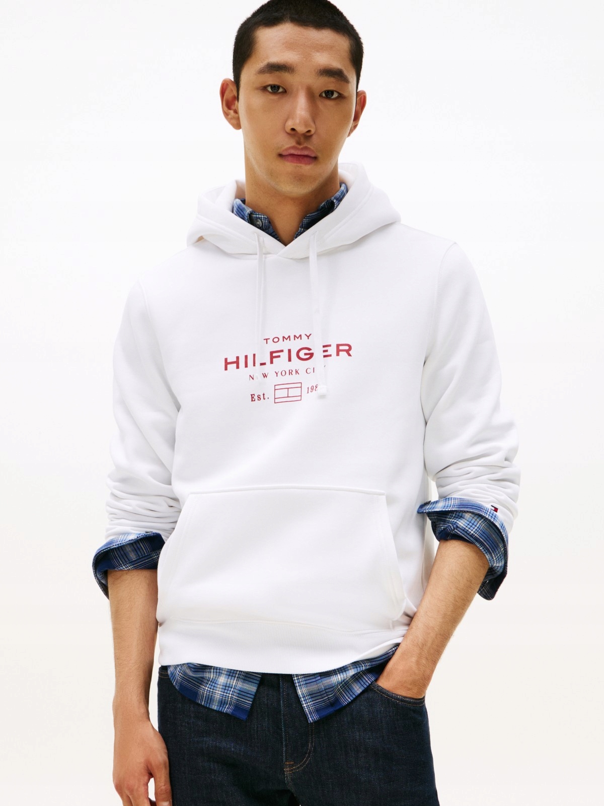 Pánská mikina Tommy Hilfiger Oval Graphic Hoodie