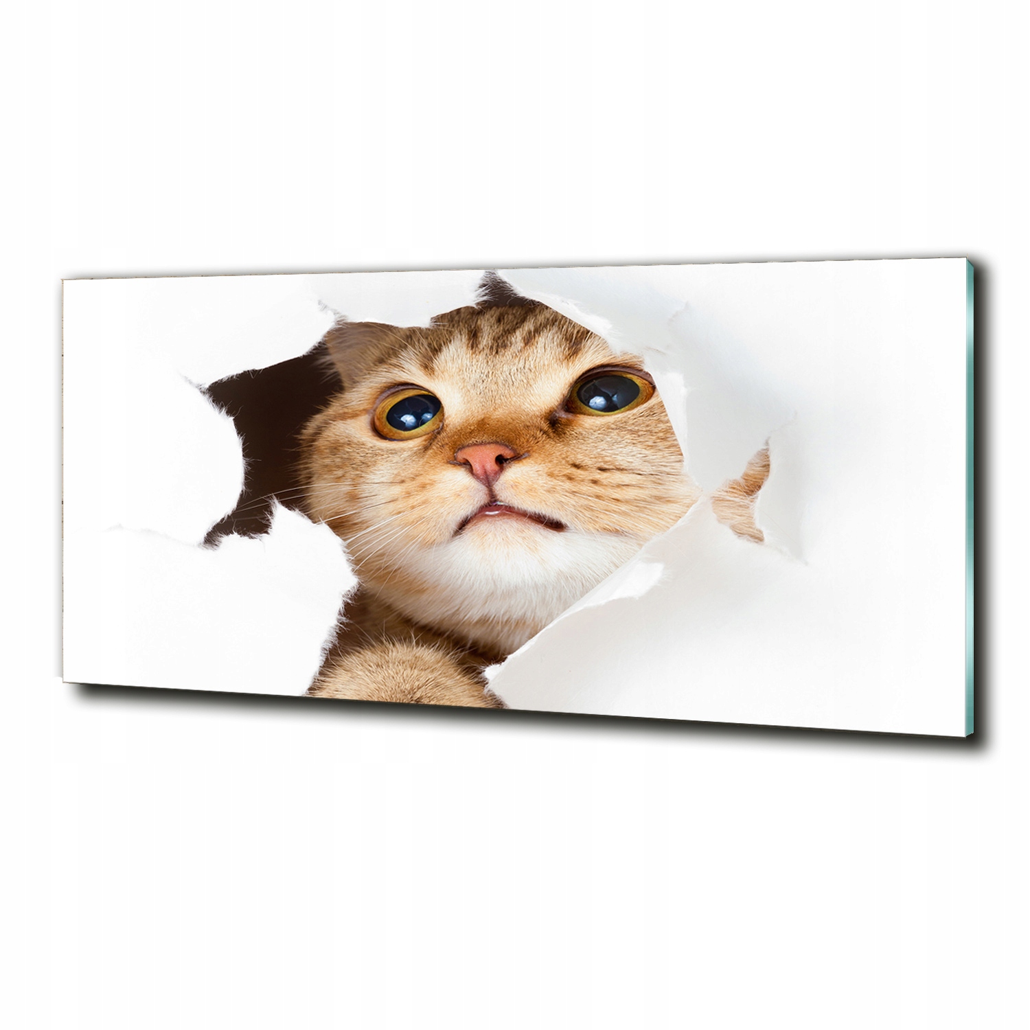 

Foto szklany do salonu obraz Kot w dziurze 125x50