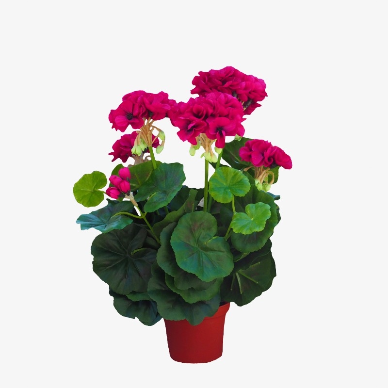 

Purpurowa pelargonia sztuczna doniczkowa jak żywa