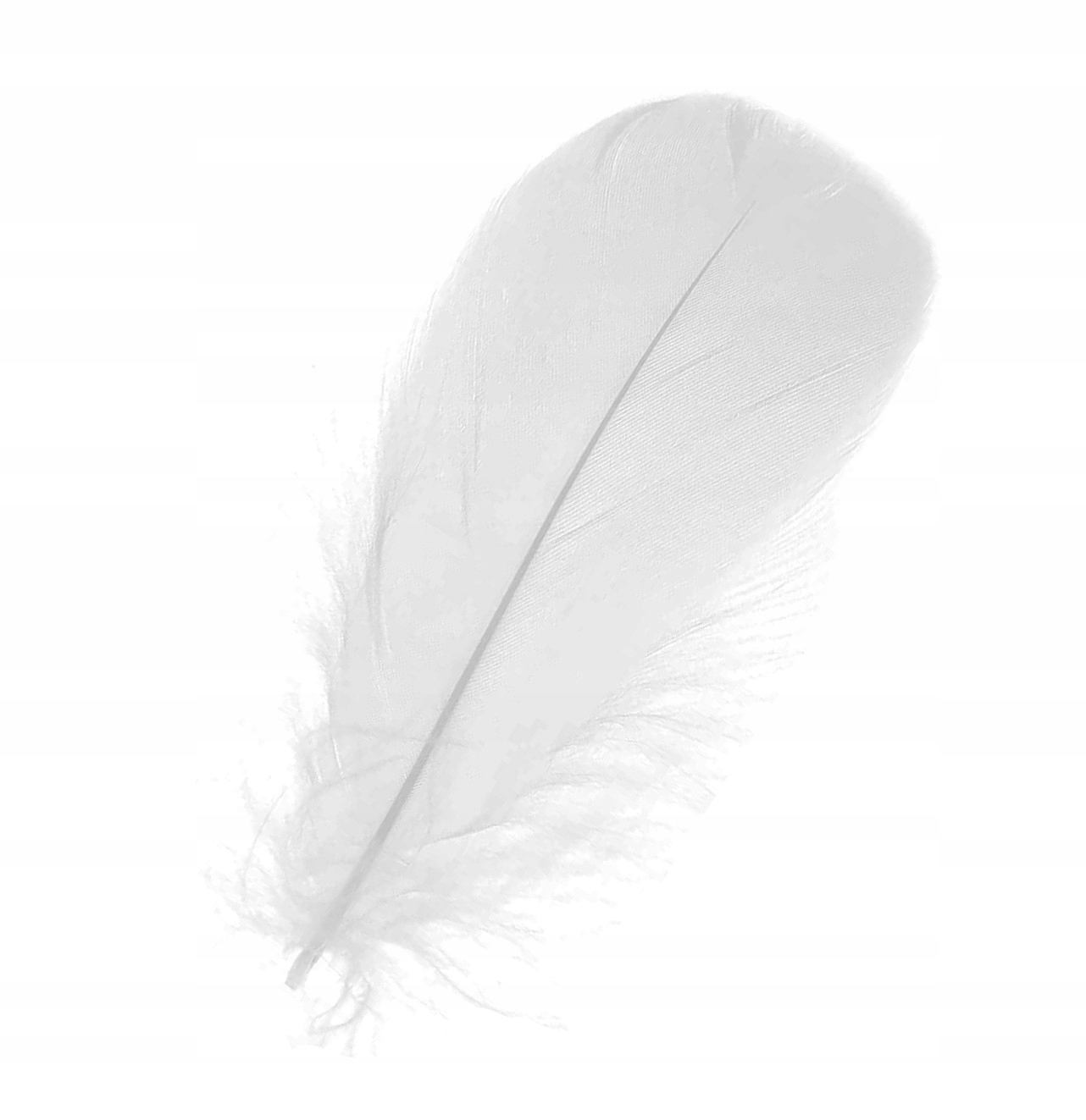Piórka dekoracyjne, ozdobne - białe, 12 cm, 50 szt