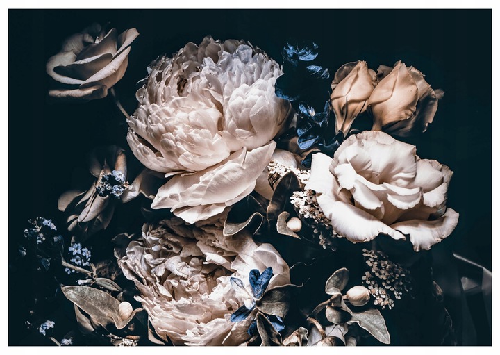 Fototapeta Piwonie čierne kvety spálňa 368x254