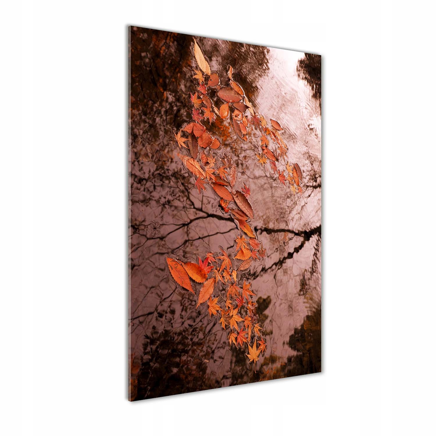 

Foto obraz szkło akrylowe Jesienne liście 60x120cm