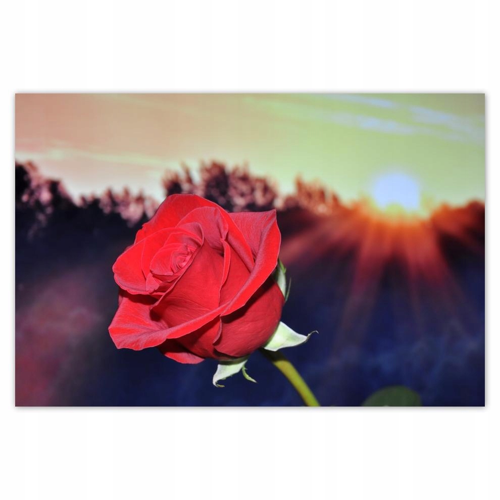 

Plakat 93x62 Różna dla ukochanej