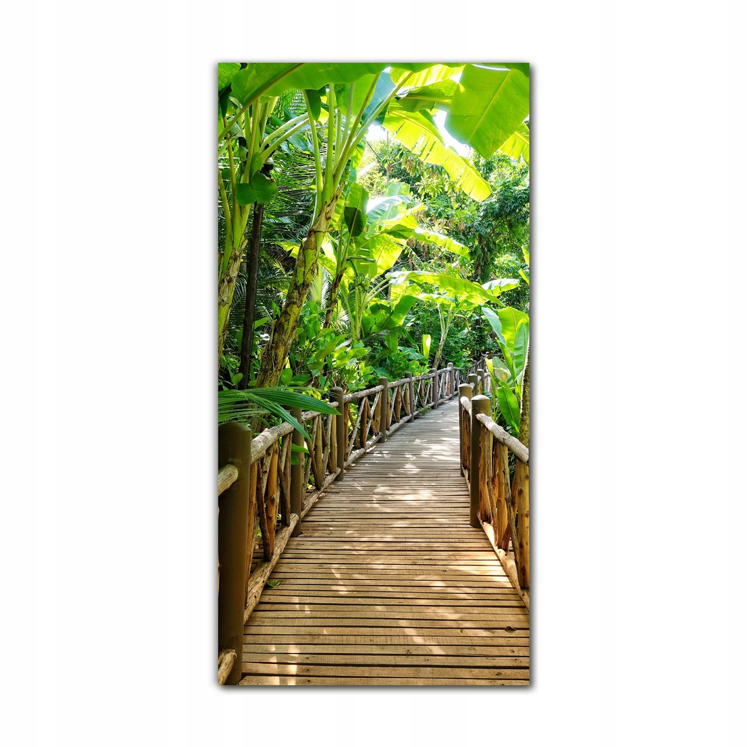 

Obraz na szkle do sypialni 70x140 Egzotyczny las