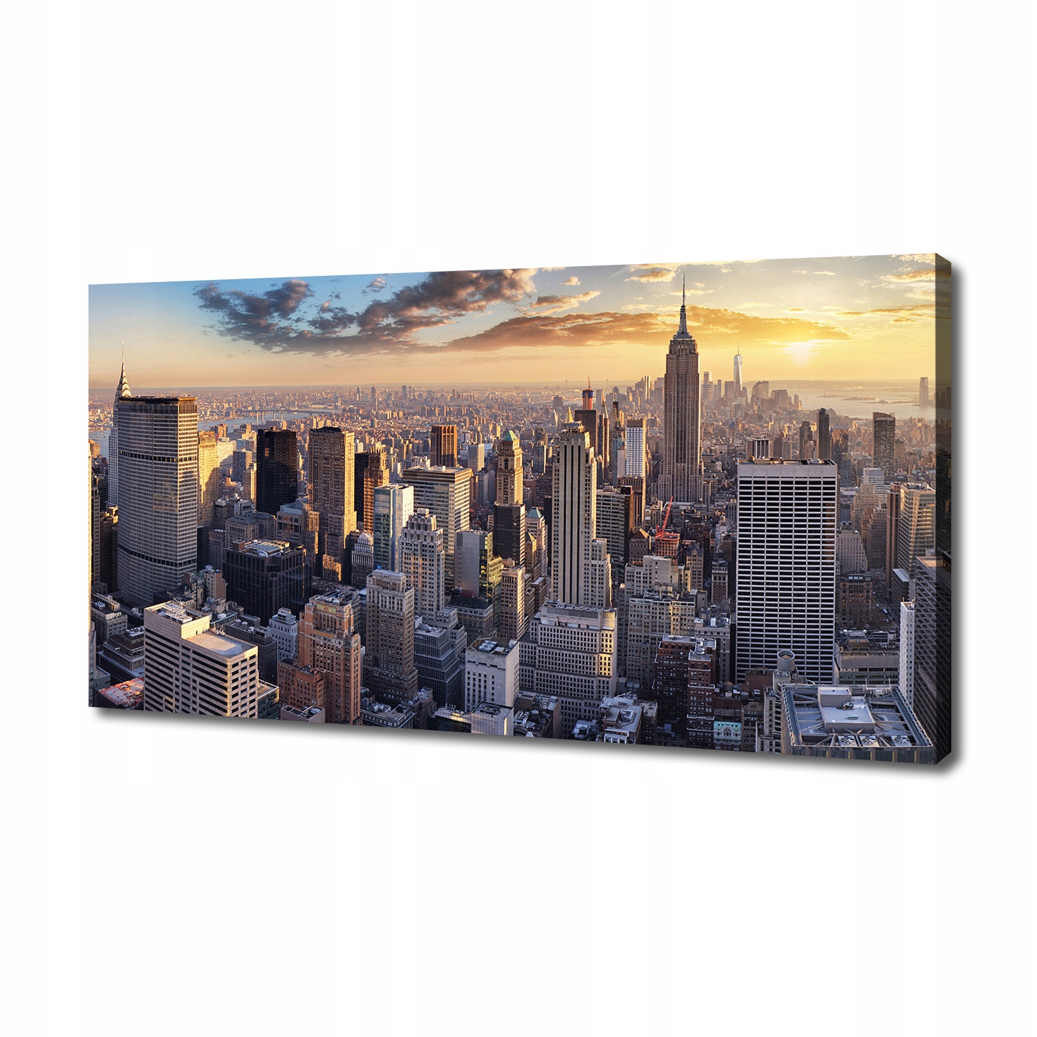 Foto obraz na plátně New York let ptáka 140x70 cm