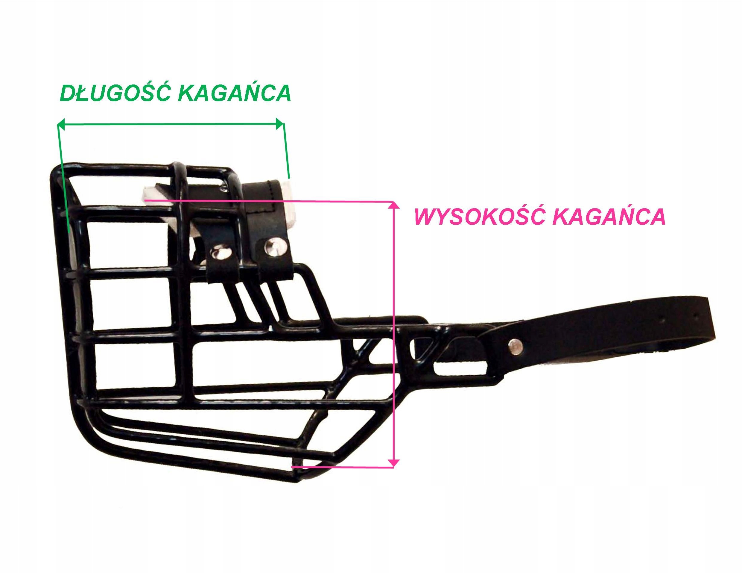 Chopo Kaganiec Fiz Amerykański Cocker Spaniel PIES Rodzaj inny