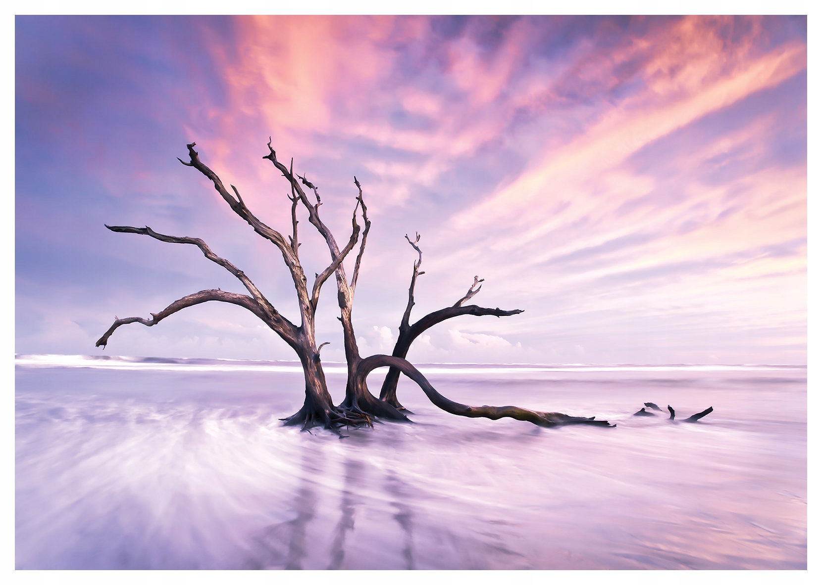 Fototapeta Strom na vodě pastelový odraz vinylová 254x184 lepidlo