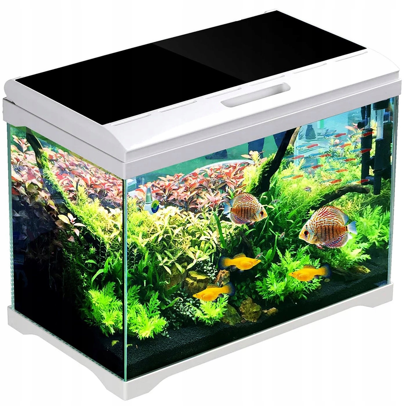 Akvárium Kompletní Sada Filtrů Led Osvětlení Pro Rostliny Ryb Sklo 19L