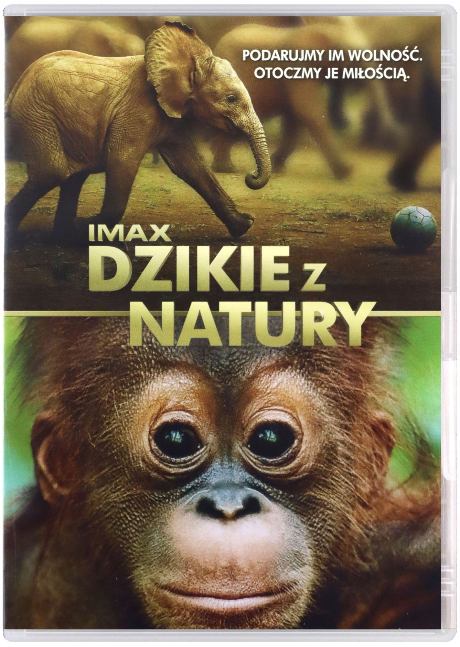 Dzikie Z Natury (DVD)