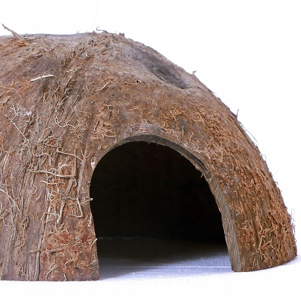 

Terrario Cococave L Połówka Kokos Naturalny
