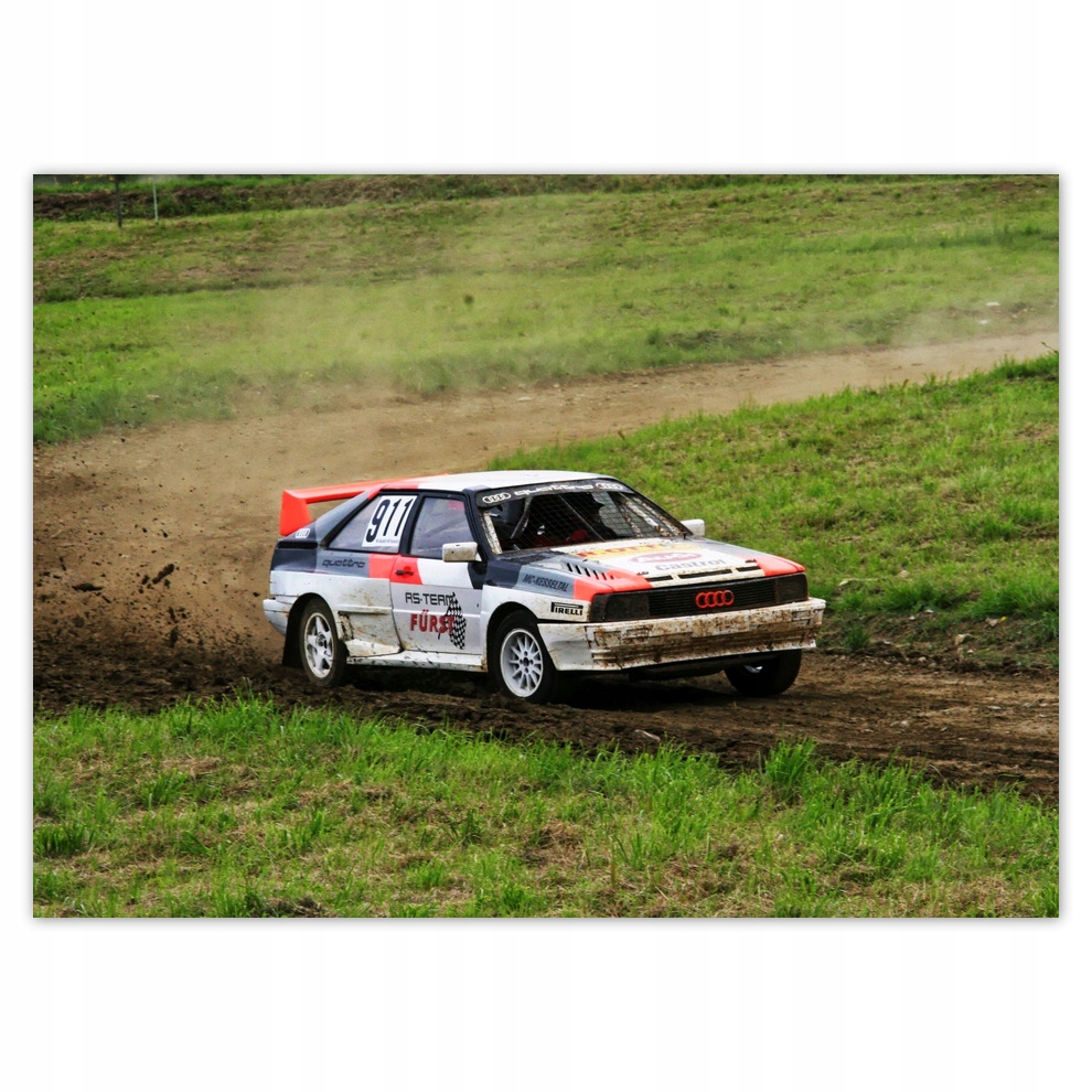 

Fototapety flizelina 254x184 Audi Quattro Teren