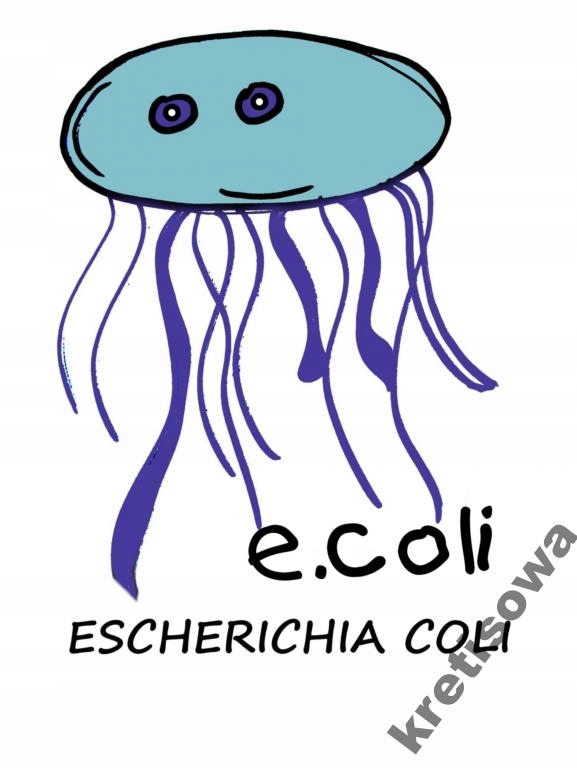 

Męska Koszulka Wirusy Mikroby Wzory Hit w3a