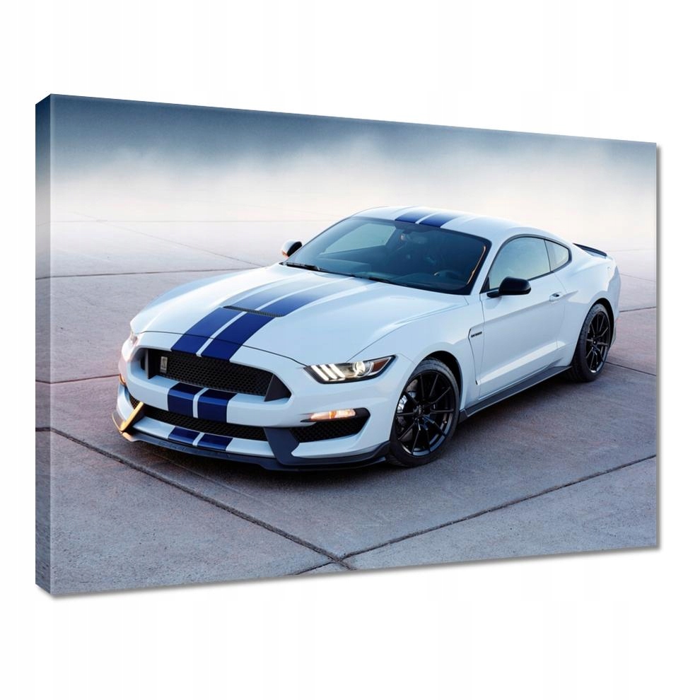 

Obrazy 40x30 Ford Mustang Shelby