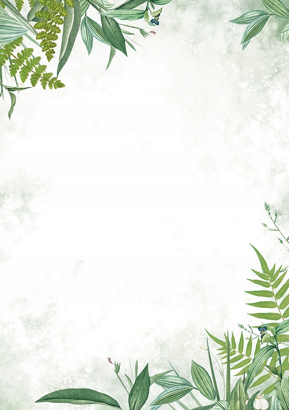 

Arkusz barwny Papier Certyfikat Flora 50a A4 100g
