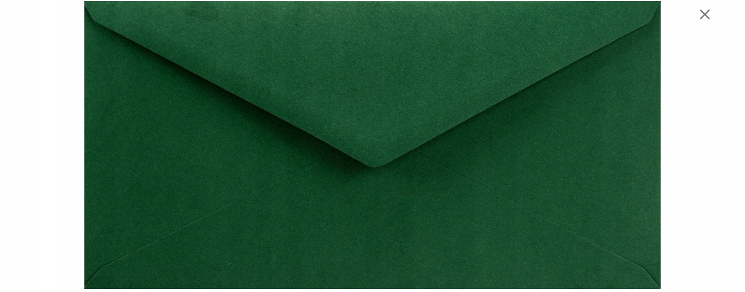 

Koperty ozdobne Dl Sirio Foglia 110x220 c.zielone