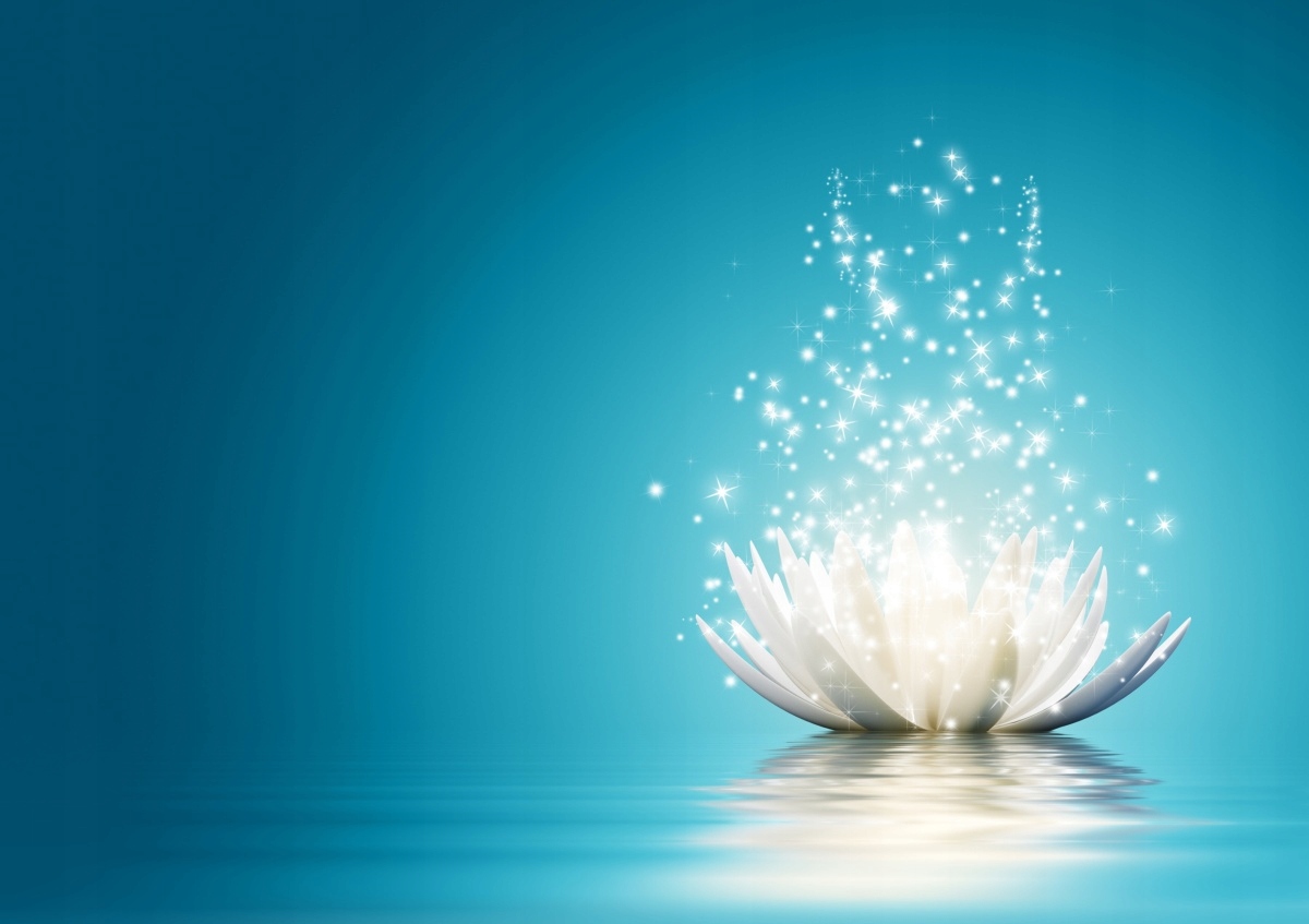 

Tapeta flizelinowa Kwiat lotosu 208x146