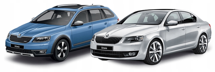 Tarcze SPORTOWE MIKODA 253mm + klocki SKODA OCTAVIA III Typ samochodu Samochody osobowe