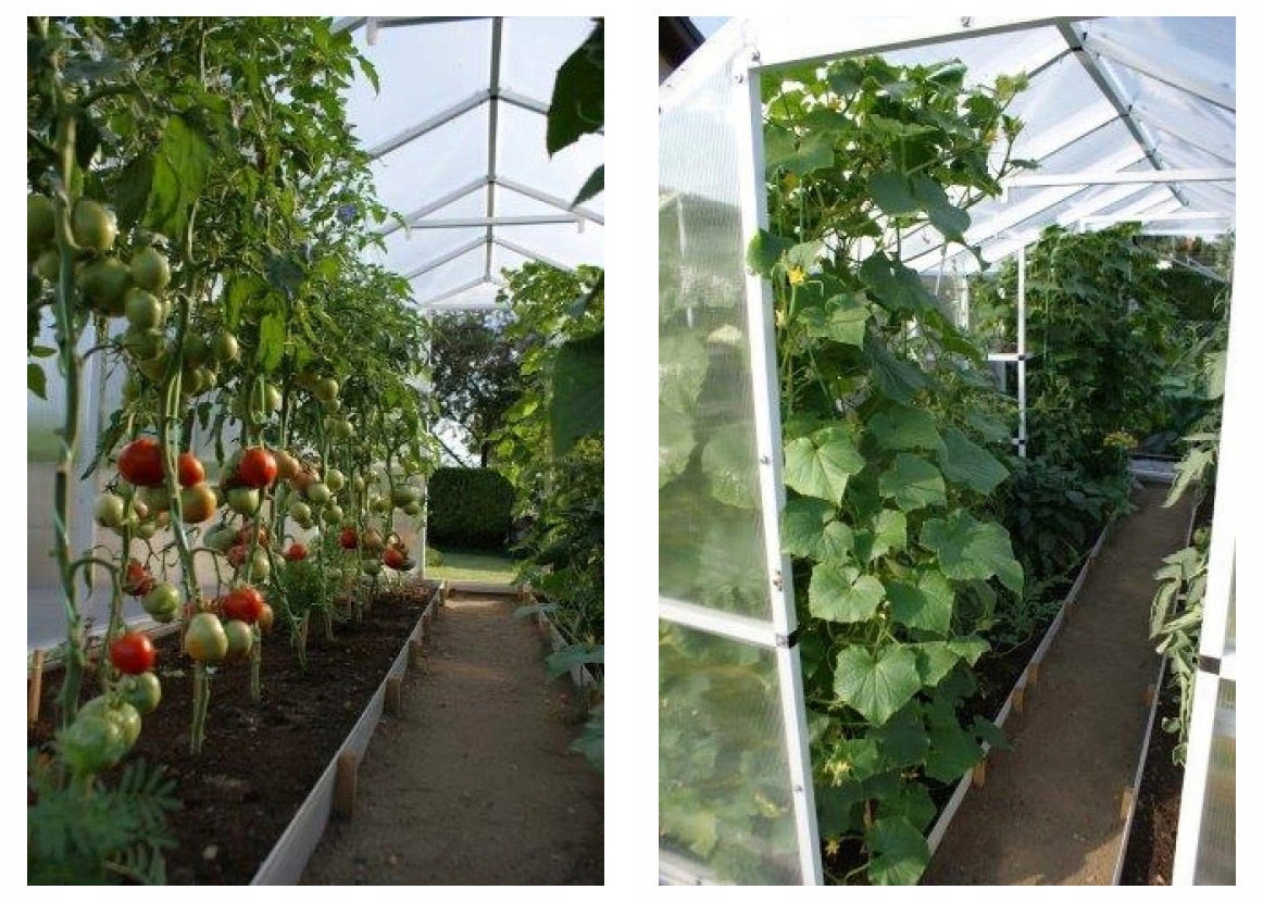 SZKLARNIA OGRODOWA TUNEL POLIWĘGLAN WZMOCNIONA 6,0 Kolor przezroczysty