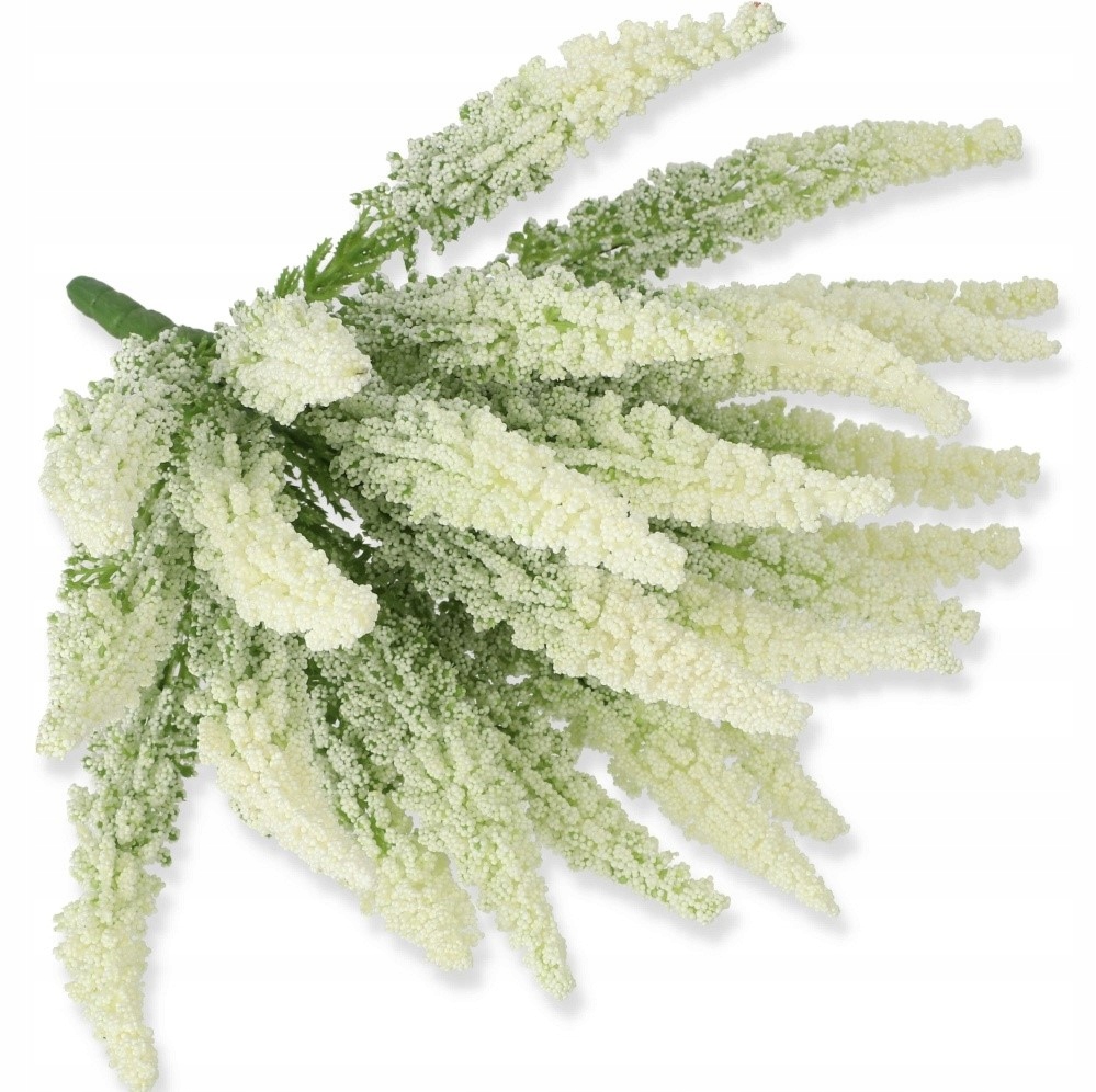 

Wrzos bukiet gałązka dekoracyjna gruby