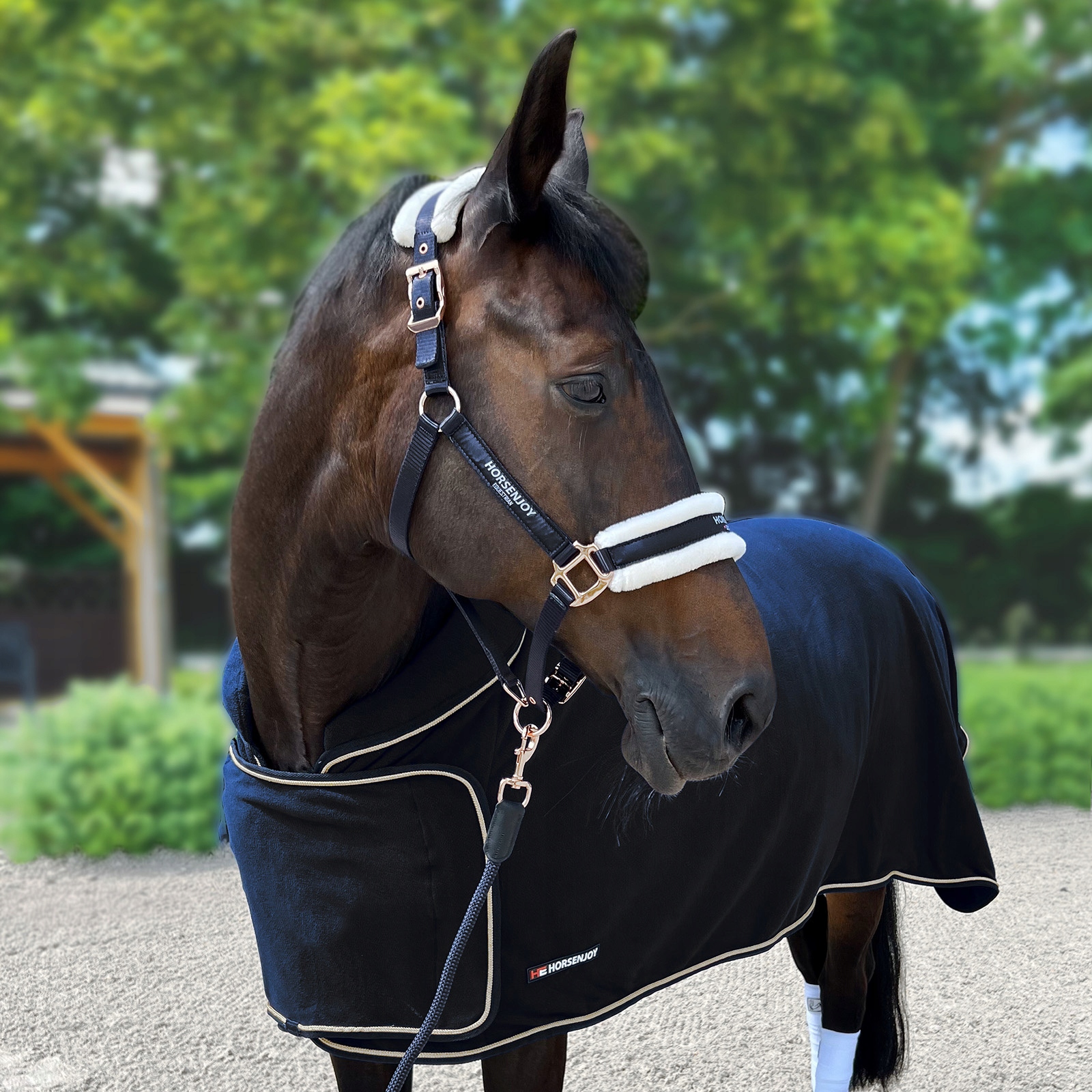 Deka pro koně Horsenjoy Show, fleecová, černá barva, velikost 145 cm