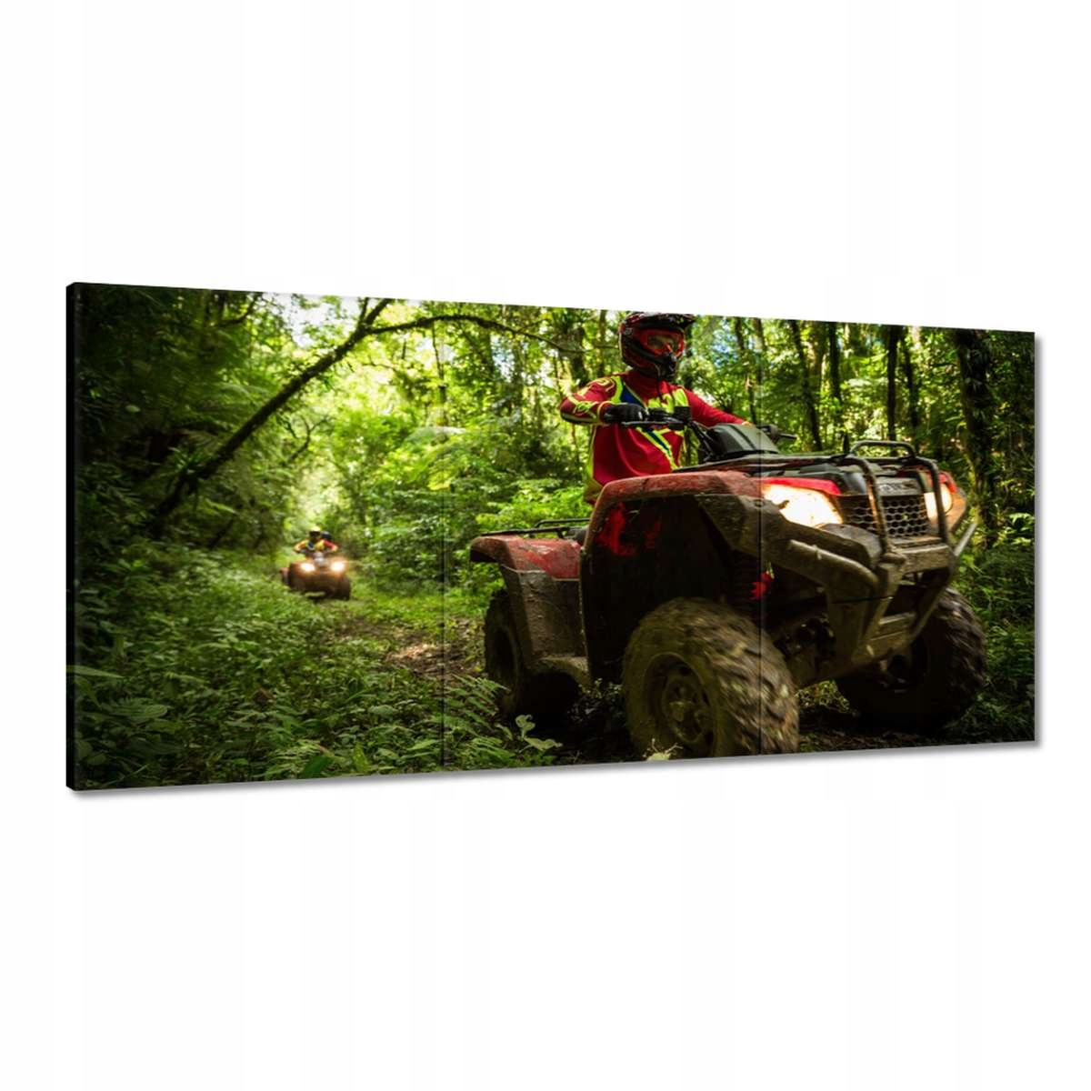 Obrazy 180x90 Quad Štyri kruhy Terén