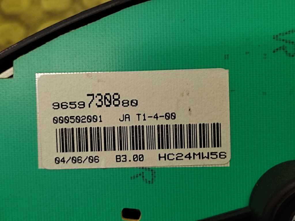 PEUGEOT 206 dials 9659730880