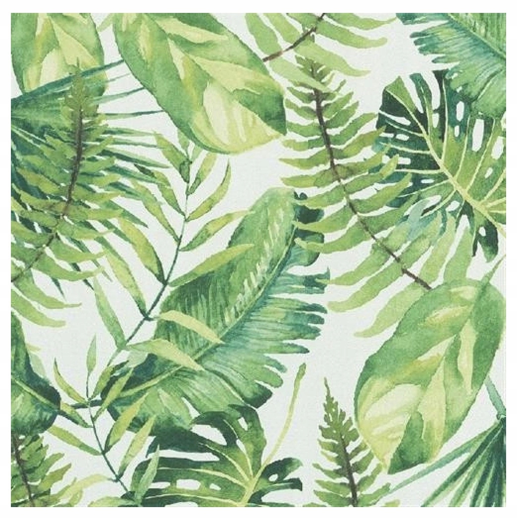 

Tapeta ścienna liście palmy monstera rośliny